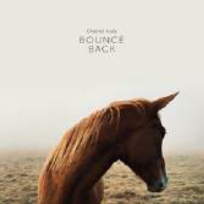 Bounce Back Bounce Back