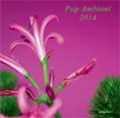 POP AMBIENT 2014<期間限定価格盤> POP AMBIENT 2014<期間限定価格盤>