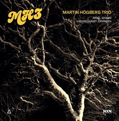 TOWER RECORDS ONLINE㤨Martin Hogberg Trio/MH3[NXN2013]פβǤʤ2,790ߤˤʤޤ