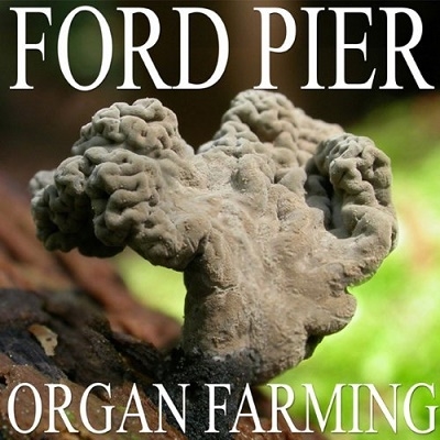 Organ Farming