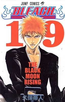 BLEACH -ブリーチ- 19