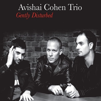 Avishai Cohen Trio/Gently Disturbed[RD4607]