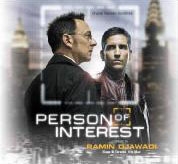 Person of Interest  