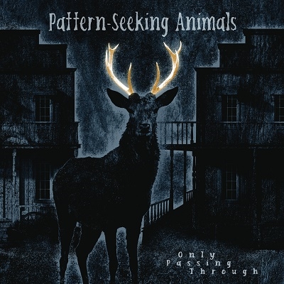 Pattern-Seeking Animals/Only Passing Through[19439982202]
