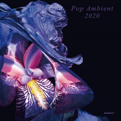 POP AMBIENT 2020 POP AMBIENT 2020