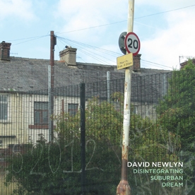 TOWER RECORDS ONLINE㤨David Newlyn/Disintegrating Suburban Dream[HB53]פβǤʤ2,690ߤˤʤޤ