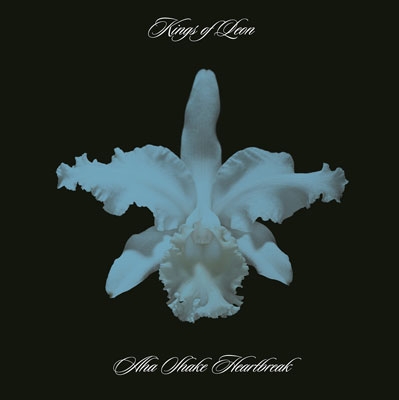 A-Ha Shake Heartbreak