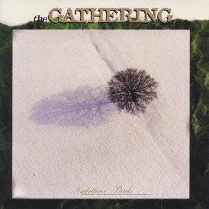 ナイトタイム・バーズ