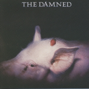 ストロベリーズ