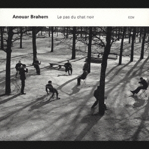 黒猫の歩み (Le Pas Du Chat Noir)