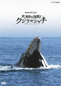 NHKスペシャル 大海原の決闘！ クジラ対シャチ DVD -NHKグループ
