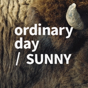ordinary day/SUNNY