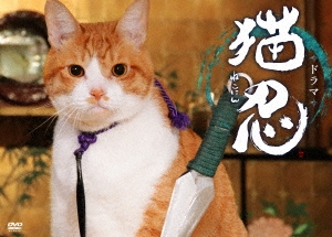 ドラマ「猫忍」DVD-BOX