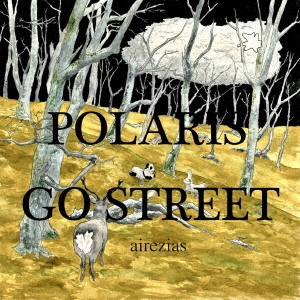 airezias/POLARIS GO STREET[PGS-1001]