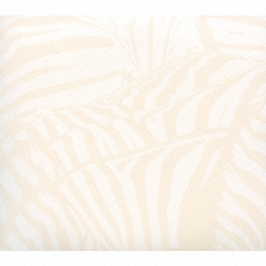 ティーン・ドリーム ［CD+DVD］＜完全生産限定盤＞