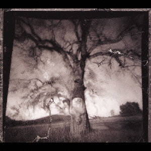 デイライト・ブレイキング