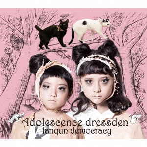 あどれっせんすドレス伝