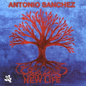 Antonio Sanchez/˥塼饤ա㴰ס[CDSOL-45028]