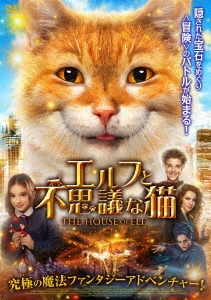 エルフと不思議な猫
