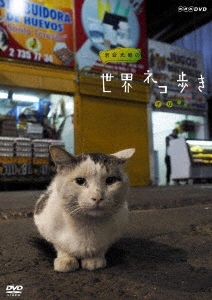 岩合光昭/岩合光昭の世界ネコ歩き チリ