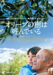 オリーブの樹は呼んでいる