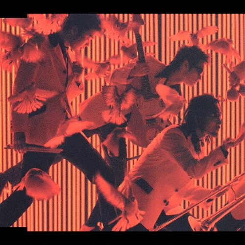 ѥȥ/Ͽ [CCCD][CTCR-40188]