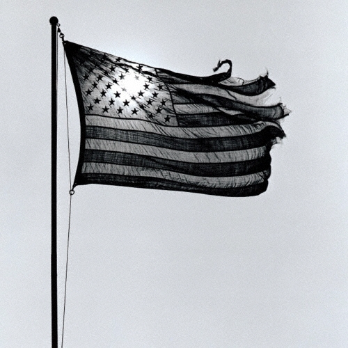 吠える!≪アメリカン・ヴォイス≫