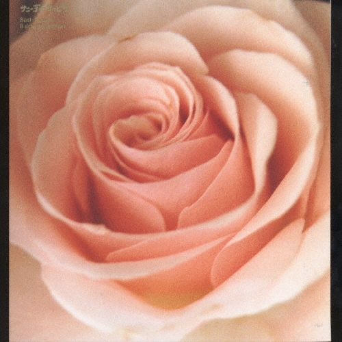 サニーデイ サービス BEST FLOWER サニーデイ・サービス/Best Flower -B side collection-