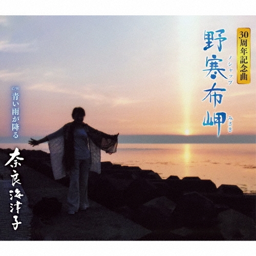 野寒布岬(ノシャップ岬)