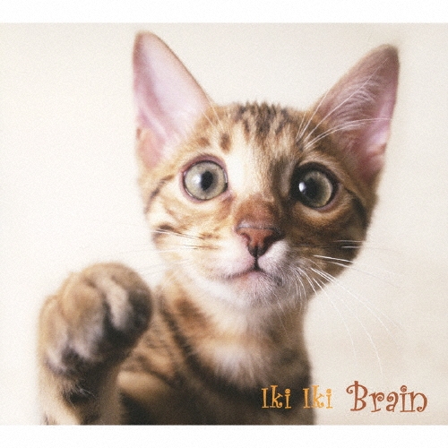 ゆるクラ いきいき ブレイン