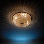 月下美人 月下美人