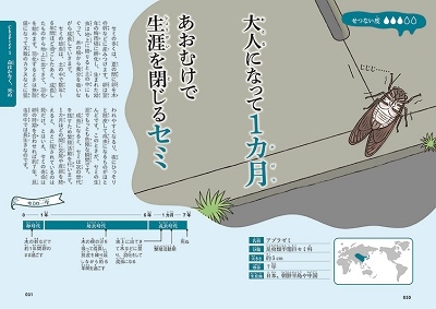 せつない!いきものの死に方図鑑 せつない!いきものの死に方図鑑