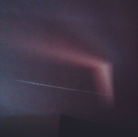 What Wind Whispered To The Trees