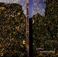 Debris Reassembled Debris Reassembled