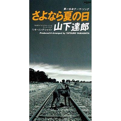 山下達郎/さよなら夏の日 / モーニング・シャイン