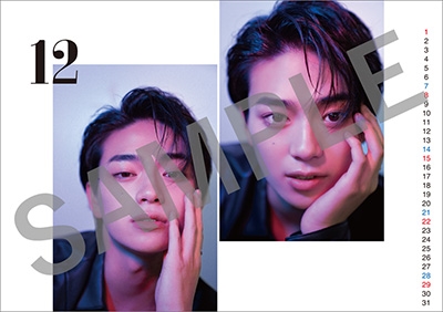 岩瀬洋志 2024 カレンダー ブロマイド CDJapan : [Desktop] Yoji Iwase [Calendar 2024 (Try-X Ltd