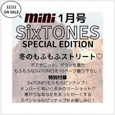 表紙違い版 mini (ミニ) 2025年 01月号 [雑誌]