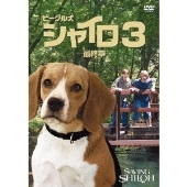 ビーグル犬 シャイロ3 -最終章- 特別版