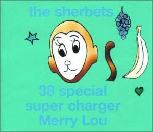 芸能人愛用 SHERBETS/38 Special 邦楽