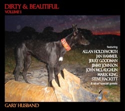 ダーティー・アンド・ビューティフル ダーティー・アンド・ビューティフル