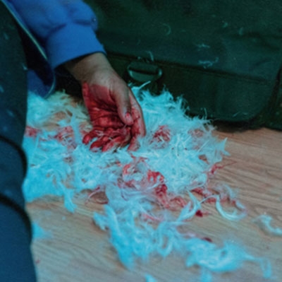 TOWER RECORDS ONLINE㤨Kaonashi/Dear Lemon House, You Ruined Me Senior Year[RDR2312]פβǤʤ3,290ߤˤʤޤ