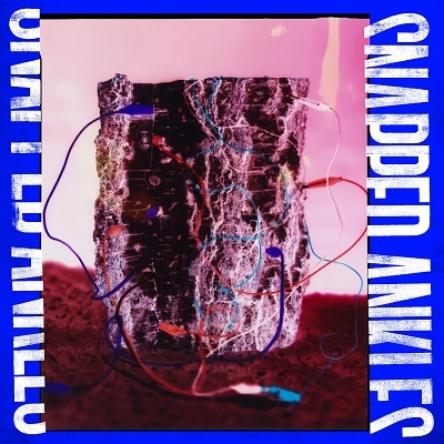 TOWER RECORDS ONLINE㤨Snapped Ankles/Forest of Your Problems[BAY126VX]פβǤʤ4,390ߤˤʤޤ