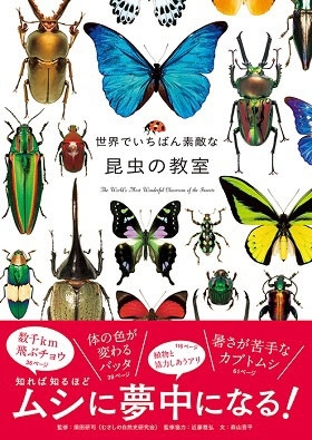 世界でいちばん素敵な昆虫の教室 世界でいちばん素敵な昆虫の教室