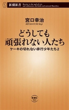 どうしても頑張れない人たち ケーキの切れない非行少年たち2 どうしても頑張れない人たち ケーキの切れない非行少年たち2