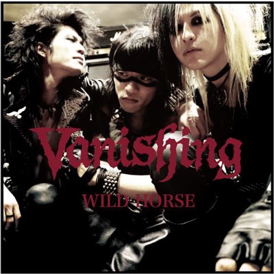 Wild Horse Wild Horse