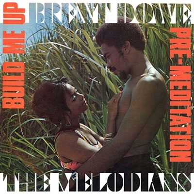 Brent Dowe &The Melodians/Build Me Up &Pre-Meditation[DBCDD089]