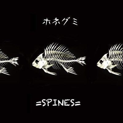 =SPINES=/ۥͥ[SPIN-1001]