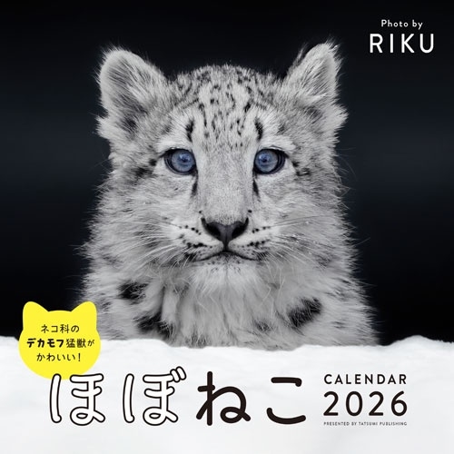 2026 ほぼねこカレンダー