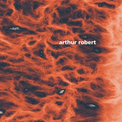 TOWER RECORDS ONLINE㤨Arthur Robert/Metamorphosis, Pt. 2[FIGUREX32]פβǤʤ2,790ߤˤʤޤ