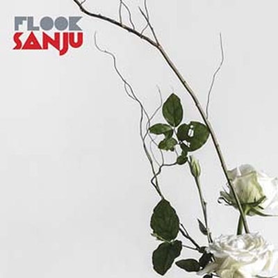 Sanju Sanju